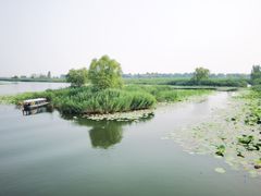 -白洋淀风景区