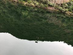 -龙庆峡风景区