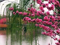 -圩墩遗址公园