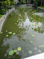 -莲生母婴月子中心(清水河公园店)