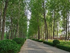 -东升八家郊野公园