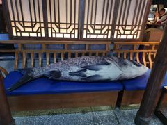 -坛宗剁椒鱼头(河西王府井店)