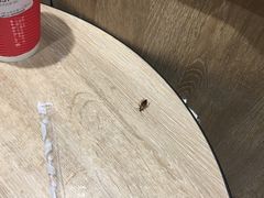 -85度C(苏州石路店)