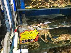 水产区-蚝专家(北滘店)