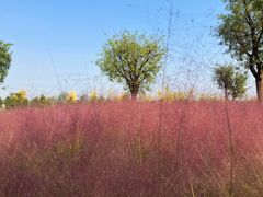 -汉长安城未央宫国家考古遗址公园