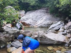 -秦岭风景区