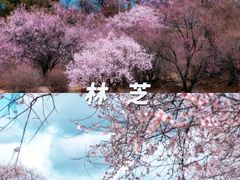 -羊卓雍措
