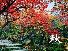 -周口店坡峰岭风景区