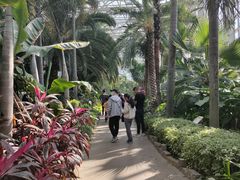 -祥源·阜阳生态乐园