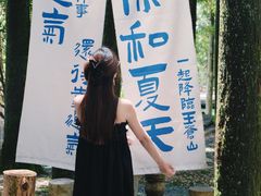 -玉苍山国家森林公园