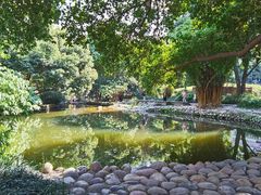 -成都市活水公园