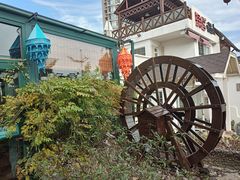 -慢丽江·云南野生菌土鸡锅(付家庄店)