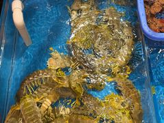 -吴记富苑(朝阳店)