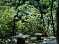 -少华山国家森林公园