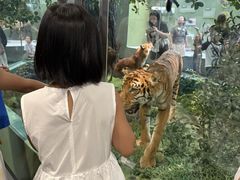 -国家自然博物馆