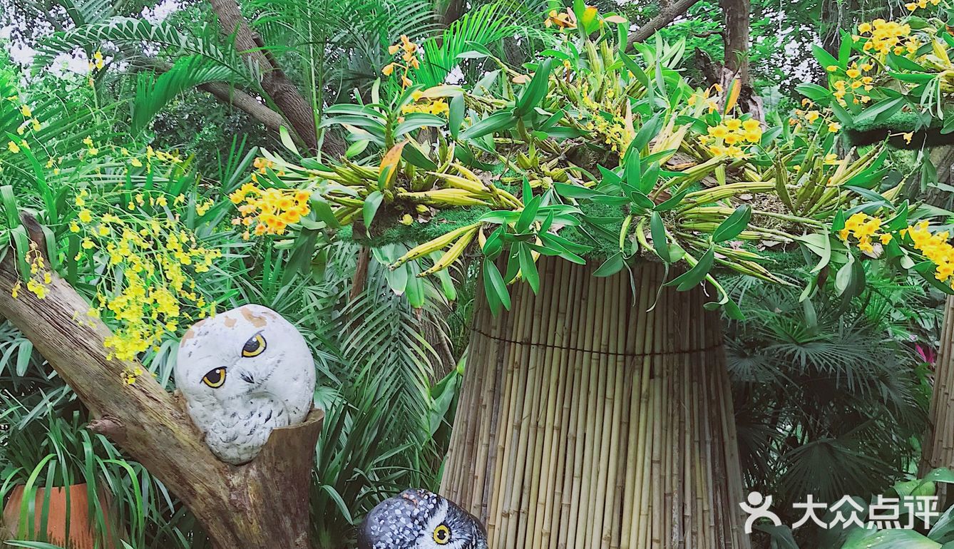 周末放假肯定要去逛公园呀