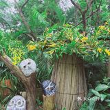 周末放假肯定要去逛公园呀