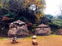 -千年银杏谷文化旅游区