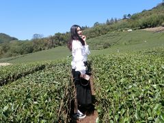 -优游吧斯邹族文化部落