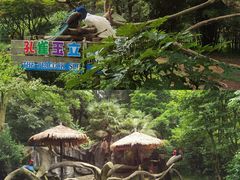 -宁波野生动物园