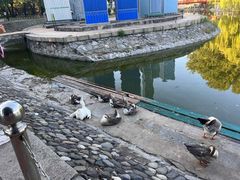 -北京世界公园