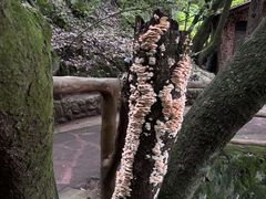 -昆明青龙峡风景区