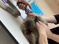 -谐和贝康宠物医院24小时·宠保定点(急重症转诊中心)