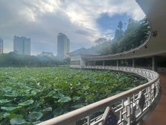 -荔湾湖公园