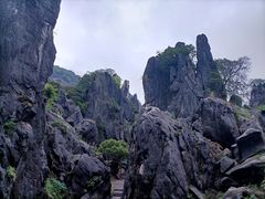 -玉石林风景区