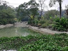 -广西壮族自治区药用植物园