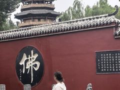 -百脉泉景区