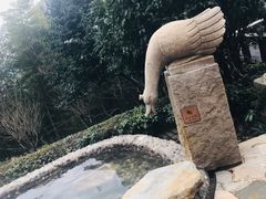 -天目湖涵田半山温泉