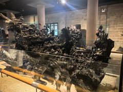 -乐山乌木文化博览苑