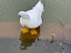 -神光山国家森林公园