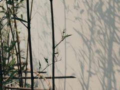 -费孝通江村纪念馆