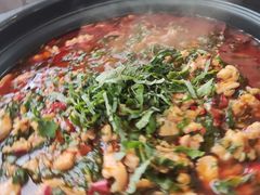 大师傅藿香兔-听香·678茶铺(猛追湾店)