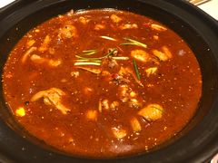 -红顶老汉烧鸡公羊蝎子火锅(学士街店)