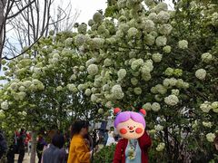 -大龙山(地铁站)