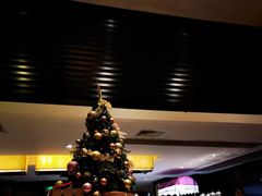 -上海锦江汤臣洲际大酒店壹阶层