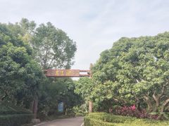 -大屏嶂森林公园