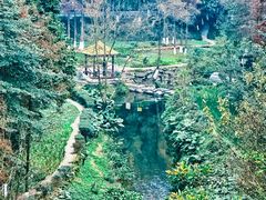 -重庆彩云湖湿地公园