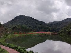 -广州市石门国家森林公园