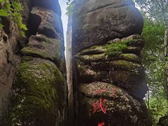 -汤旺河林海奇石景区