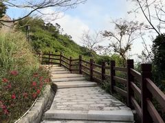 -东澳岛