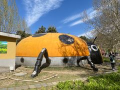 -朝阳公园游乐园