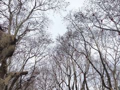 -中国美术学院象山校区-民艺博物馆