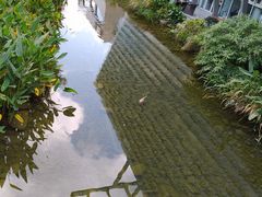 -活水公园