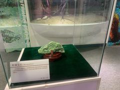 -中国第四纪冰川遗迹陈列馆