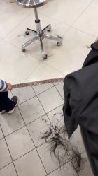 点击看大图 -八佰伴8008星级形象店