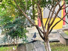 -南京市江宁方山